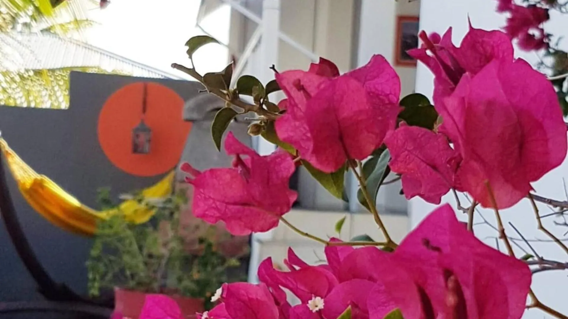 別荘 Maison Charmante A Saint-Francois + Piscine Partagee